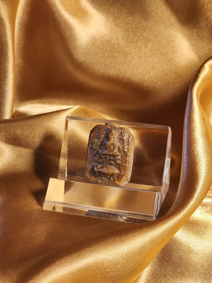 龍婆斑神獸崇迪 鬥魚模 LP Parn Animal Mount Somdej, Betta Fish