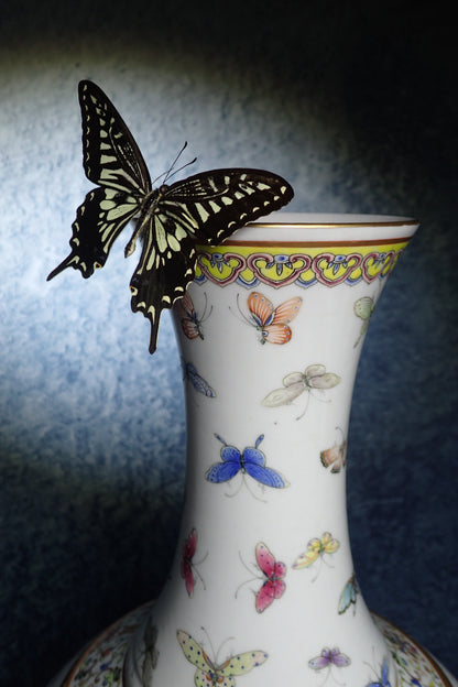 大清光緒粉彩百蝶天球瓶 Qing Guangxu Famille Rose 'Hundred Butterflies' Globular Vase