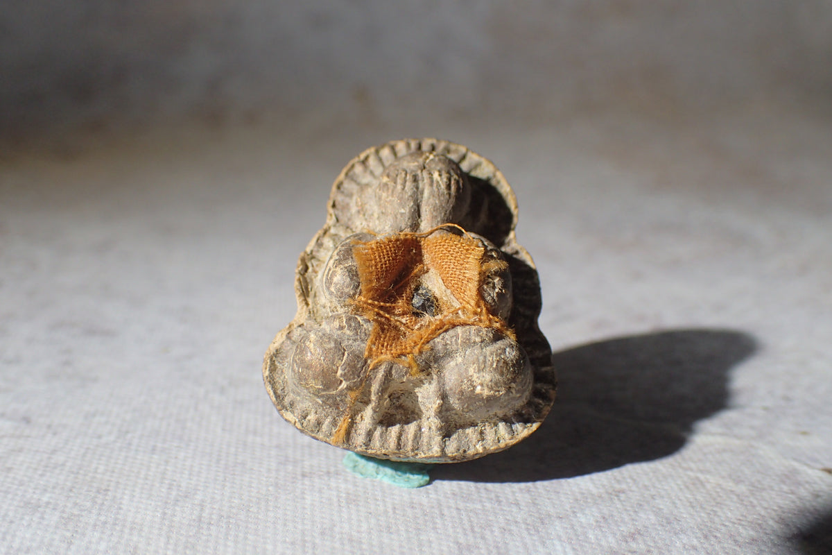 龍婆添 帕必打 寶石版 LP Tim Phra Pidta Gemstone Version