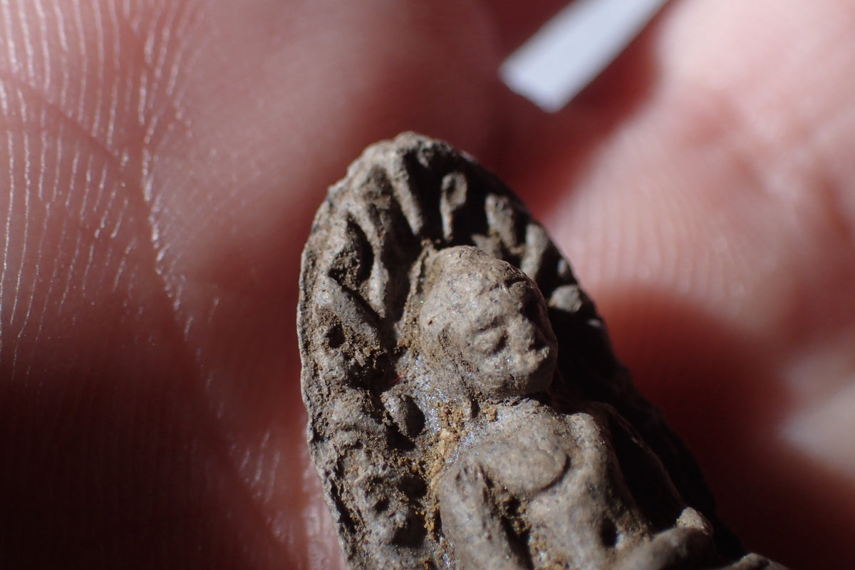 五大古佛帕洛 Benjapakee: Phra Rod